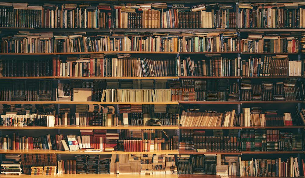 Rayonnages et livres d’une bibliothèque